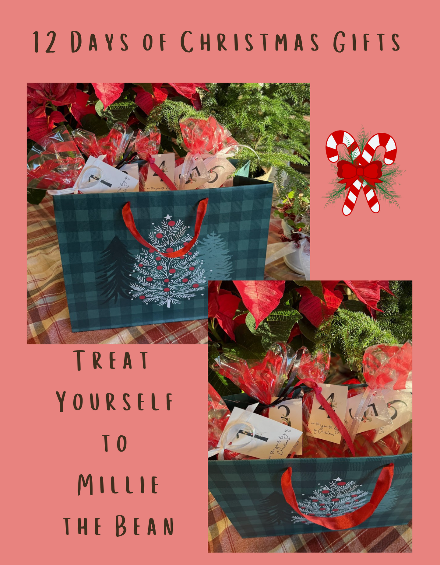 12 Days of Christmas Gift Bag