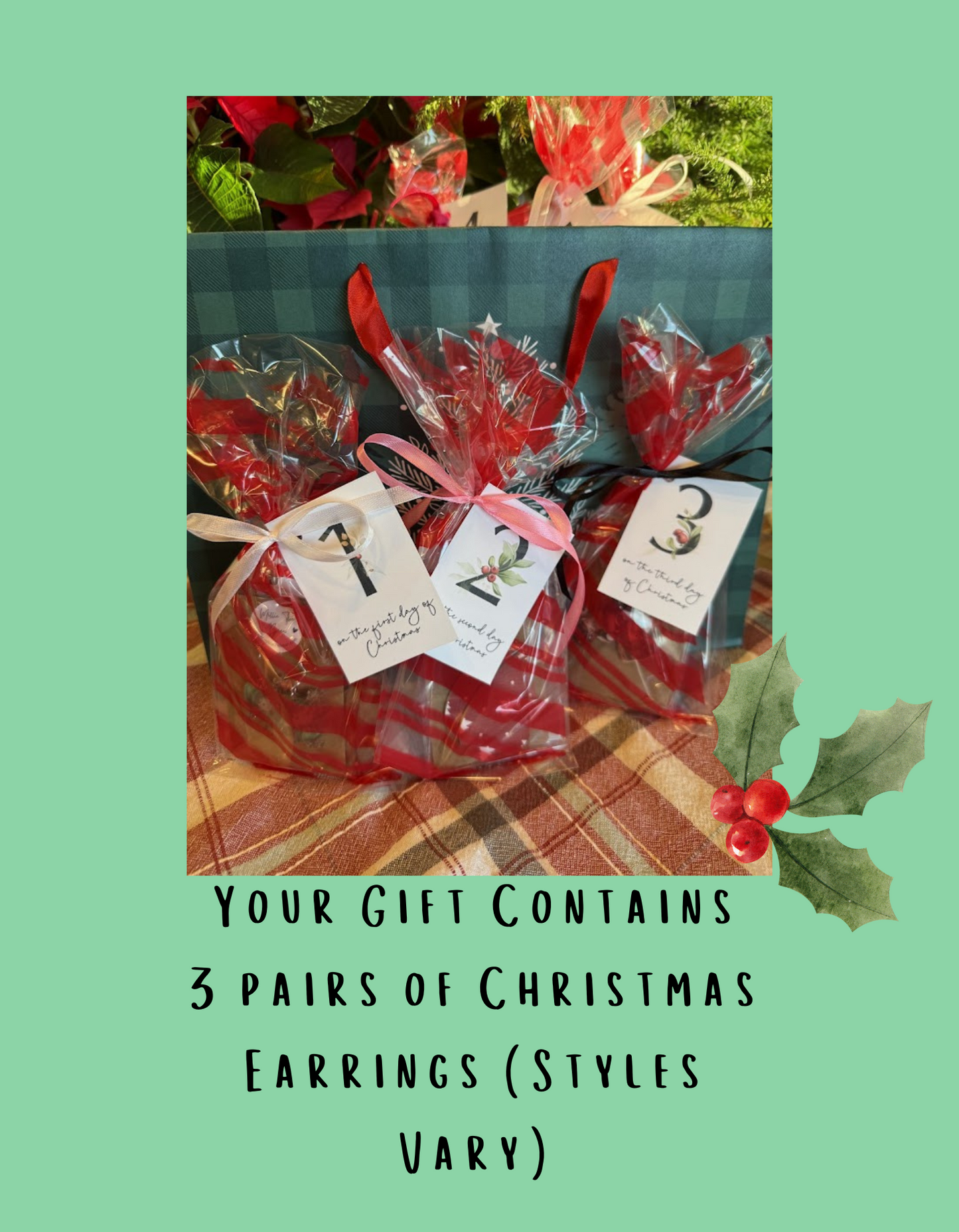 12 Days of Christmas Gift Bag