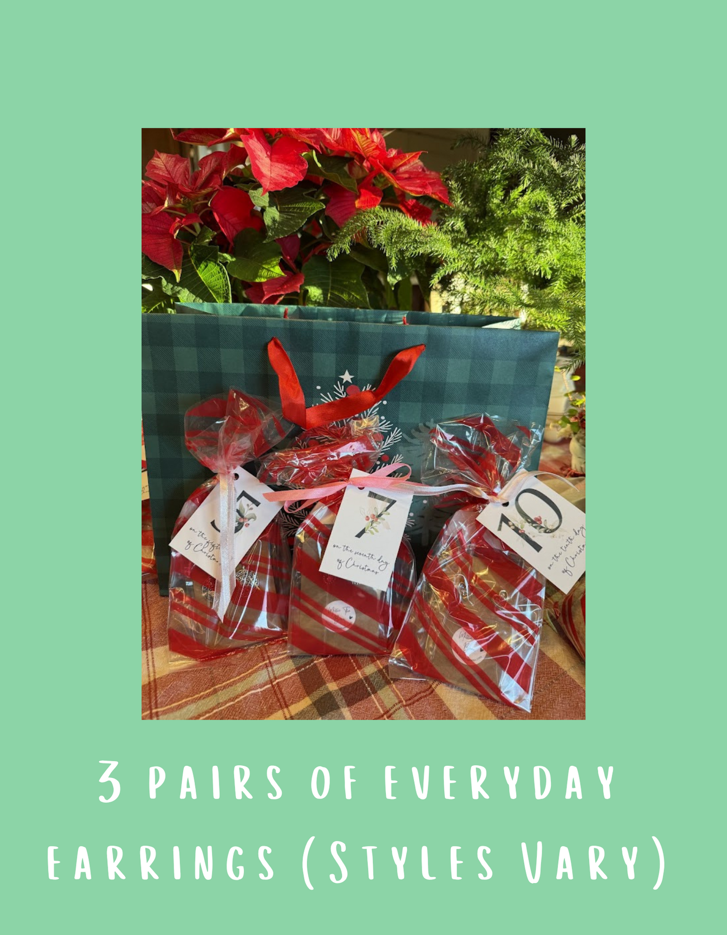 12 Days of Christmas Gift Bag